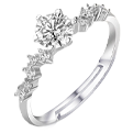 LymphDetox Magnetotherapy Ring